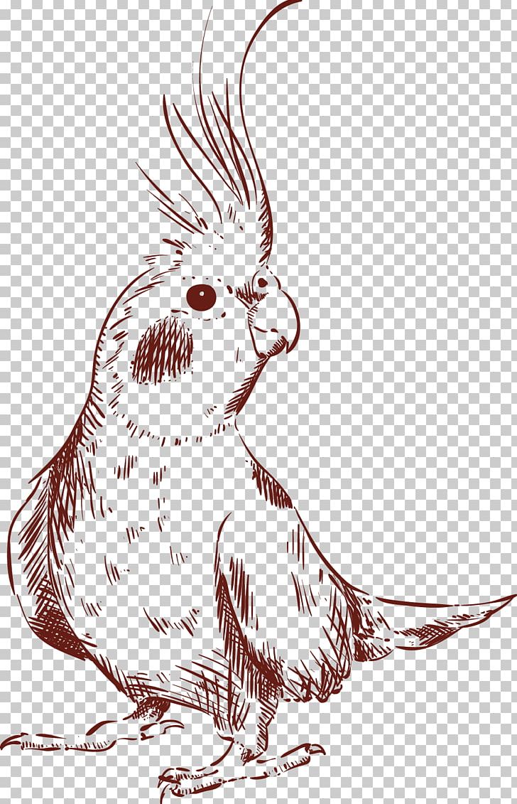 Drawing Animal Illustration PNG, Clipart, Animals, Art, Beak, Bird, Bird Of Prey Free PNG Download