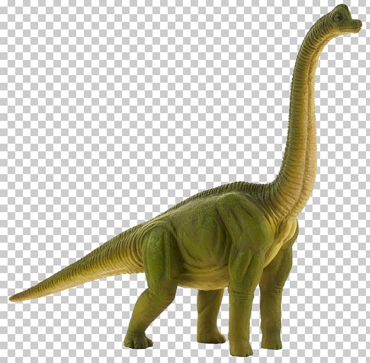 Tyrannosaurus Brachiosaurus Diplodocus Apatosaurus Dinosaur PNG, Clipart, Action Toy Figures, Animal, Animal Figure, Animal Figurine, Apatosaurus Free PNG Download