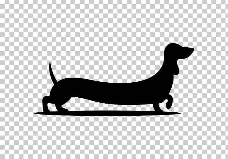 Dog Pet Sitting Graphic Design PNG, Clipart, Animals, Black And White, Carnivoran, Computer Icons, Dog Free PNG Download