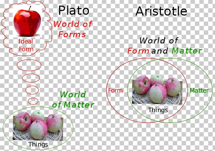 On The Soul Phaedo Hylomorphism Aristotle's Theory Of Universals Theory Of Forms PNG, Clipart,  Free PNG Download