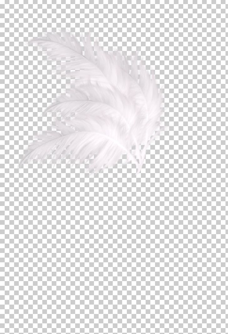White Textile Feather Pattern PNG, Clipart, Animals, Background Green, Black, Black And White, Christmas Decoration Free PNG Download
