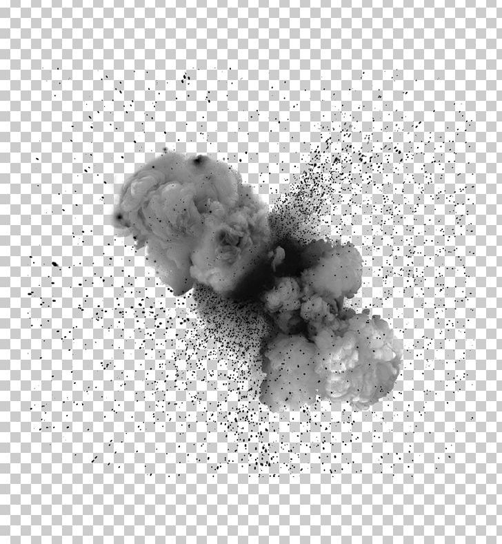 Explosion Dust Powder PNG, Clipart, Ash, Black, Black And White, Carnivoran, Dog Like Mammal Free PNG Download