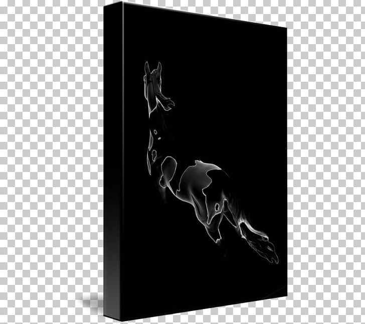 Horse Black Silhouette Photography White PNG, Clipart, Black, Black And White, Black M, Horse, Horse Like Mammal Free PNG Download