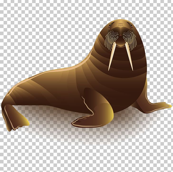 Sea Lion Walrus PNG, Clipart, 3d Animation, Animal Vector, Animation, Anime Character, Anime Girl Free PNG Download