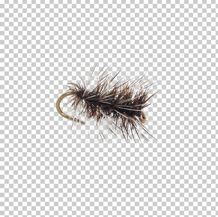 Fly Fishing Artificial Fly Hackles Pupa PNG, Clipart, Angling, Artificial Fly, Booby, Dry Flies And Emergers, Eyelash Free PNG Download