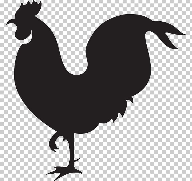 Rooster Drawing Chicken PNG, Clipart, Beak, Bird, Black And White, Black Rooster Decor, Drawing Free PNG Download