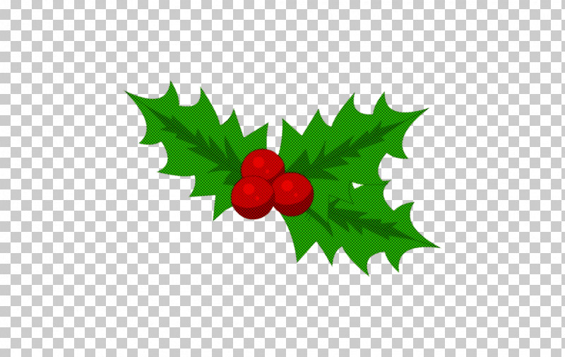 Holly PNG, Clipart, Flower, Holly, Leaf, Plane, Plant Free PNG Download
