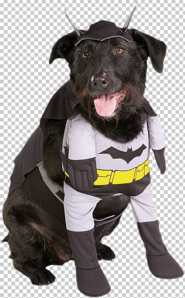 Dog Halloween Costume Puppy PNG, Clipart, American Kennel Club, Animals, Batman, Carnival, Carnivoran Free PNG Download