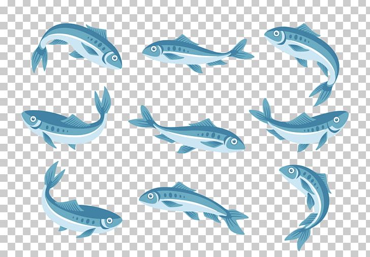 Dolphin Wine European Pilchard Sardine PNG, Clipart, Animals, Blue, Blue Whale, Cartilaginous Fish, Corvo Vini Free PNG Download