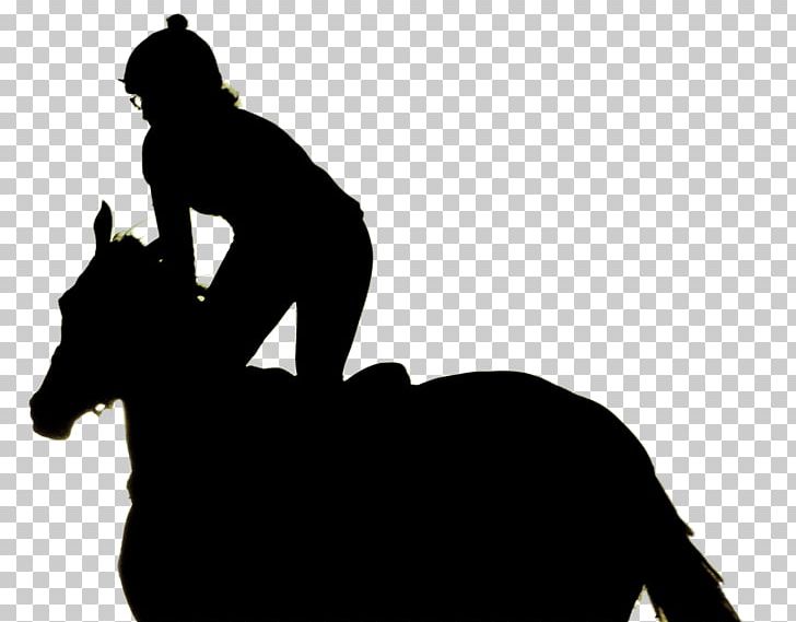 Horse Equestrian Book Child PNG, Clipart, Animals, Book, Child, Equestrian, Equestrian Sport Free PNG Download