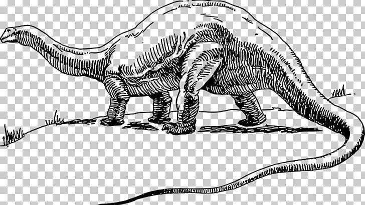 Apatosaurus Brontosaurus Tyrannosaurus Stegosaurus Triceratops PNG, Clipart,  Free PNG Download
