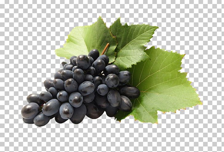 Sultana Grape Wine Cabernet Sauvignon Seedless Fruit PNG, Clipart, Bilberry, Blackcurrant, Blueberry, Common Grape Vine, Condiment Free PNG Download