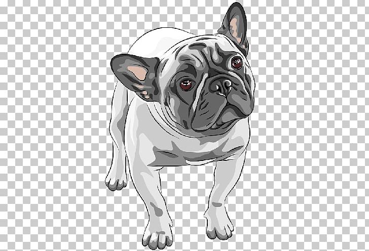 French Bulldog American Bulldog Puppy Dog Breed PNG, Clipart, American Bulldog, Animals, Bulldog, Carnivoran, Companion Dog Free PNG Download