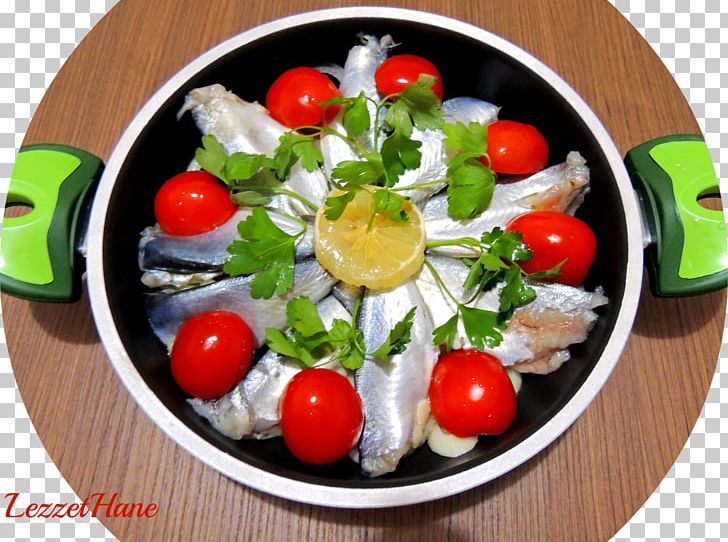 Greek Salad Caprese Salad Vegetarian Cuisine Greek Cuisine Feta PNG, Clipart, Appetizer, Caprese Salad, Cuisine, Dish, Feta Free PNG Download