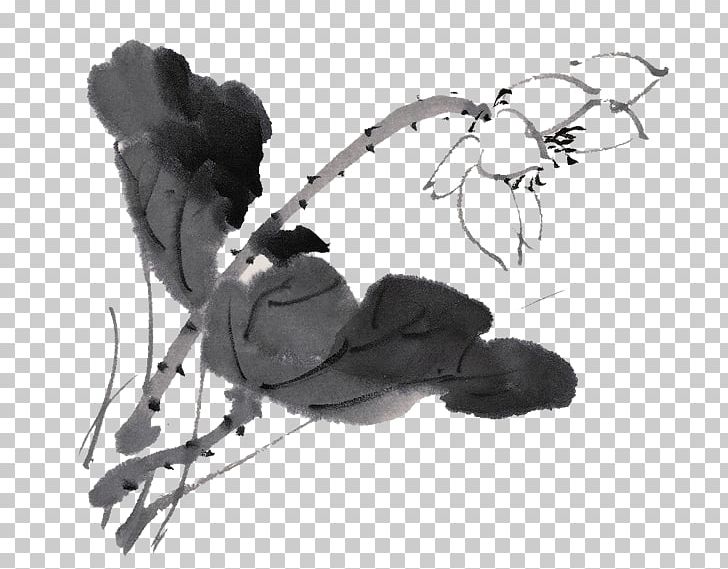 Ink Wash Painting Sacred Lotus 畫荷花 写意荷花 PNG, Clipart, Aquatic Plants, Art, Audio, Black And White, Branch Free PNG Download