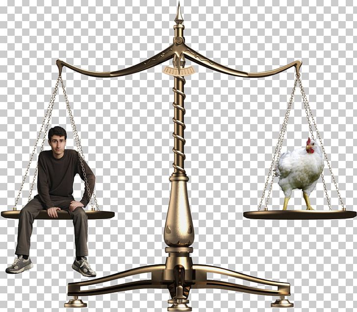 Justice Measuring Scales Respect Inlay Film PNG, Clipart, Animals, Balance, Compassion, Film, Home Clipart Free PNG Download