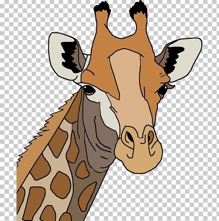 Northern Giraffe Drawing PNG, Clipart, Animal Figure, Animals, Color, Cuteness, Drawing Free PNG Download