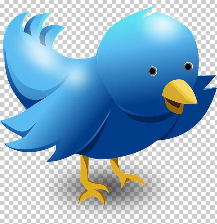 Social Media Logo Computer Icons PNG, Clipart, Beak, Bird, Bird Cartoon, Blog, Chicken Free PNG Download