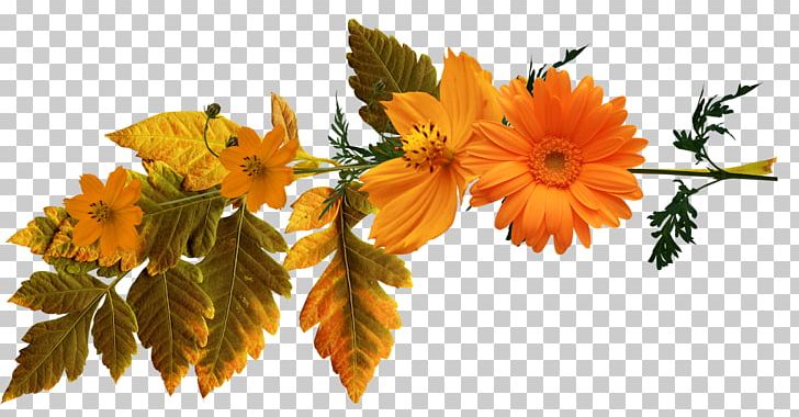 Autumn Painter Painting PNG, Clipart, Autumn, Cut Flowers, Daytime, Digital Image, Floral Design Free PNG Download