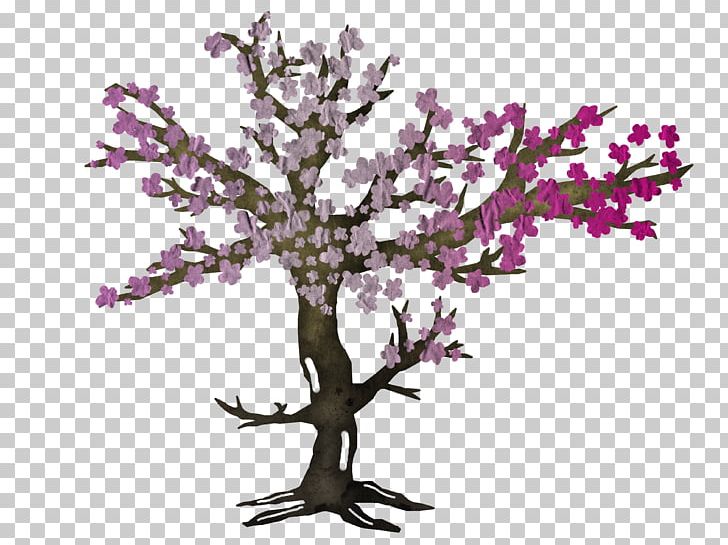 Cherry Blossom Cut Flowers Purple PNG, Clipart, Blossom, Branch, Cherry, Cherry Blossom, Cut Flowers Free PNG Download
