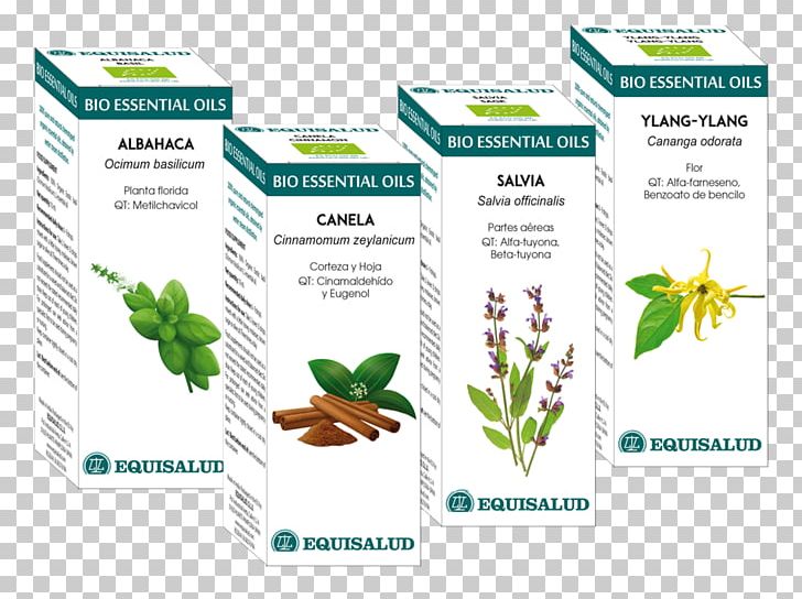 Herbalism Tree Essential Oil Cananga Odorata PNG, Clipart, Brand, Cananga Odorata, Common Sage, Essential Oil, Herb Free PNG Download