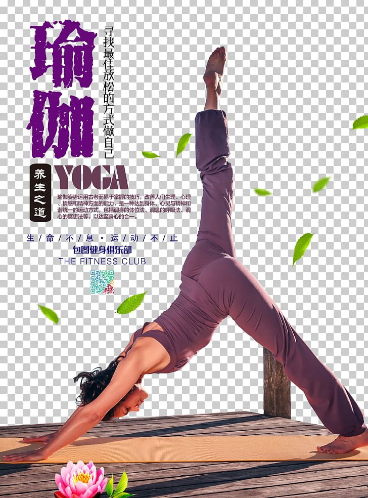 Hatha Yoga Poster Vinyāsa Fitness Centre PNG, Clipart, Ashtanga Vinyasa Yoga, Balance, Beauty, Body, Body Sculpting Free PNG Download