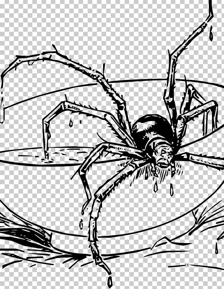 Spider-Man Coloring Book Tarantula Spider Web PNG, Clipart, Animal, Arachnid, Area, Arthropod, Branch Free PNG Download