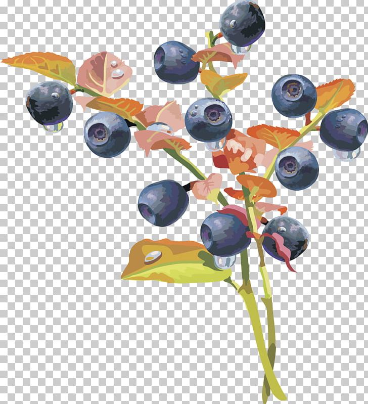 Blueberry Fruit Auglis PNG, Clipart, Apple Fruit, Blueberry, Cherries, Cherry, Chinese Lantern Free PNG Download