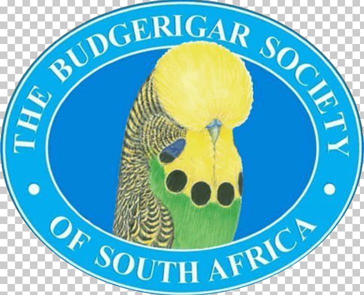 Budgerigar Logo Product Bird Font PNG, Clipart, Bird, Budgerigar, Logo, Organism, Others Free PNG Download