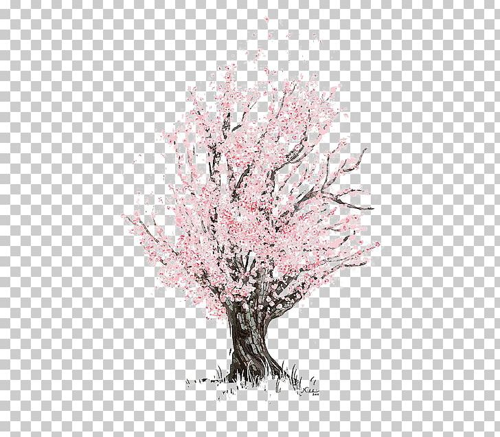 Cherry Blossom Drawing Sketch PNG, Clipart, Autumn Tree, Birch, Blossom, Blossoms, Branch Free PNG Download
