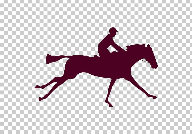 Equestrian Flip Book Irish Sport Horse Animation Cob PNG, Clipart, Bridle, Cartoon, Cob, Eadweard Muybridge, English Riding Free PNG Download
