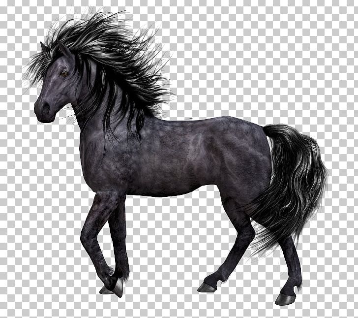 Pony Mane Mustang Stallion PNG, Clipart, Atlar, At Resimleri, Black And White, Bridle, Canvas Free PNG Download
