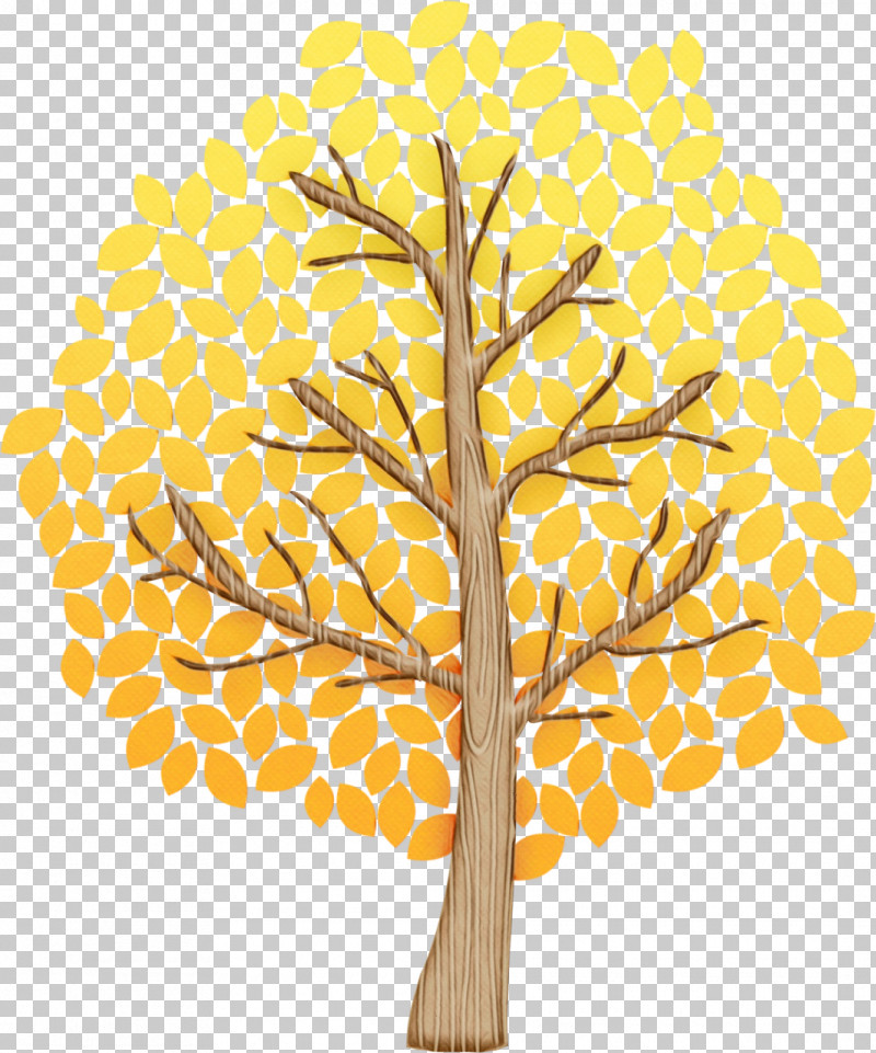Leaf Tree Twig Yellow Line PNG, Clipart, Biology, Geometry, Leaf, Line, Mathematics Free PNG Download