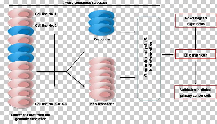Biomarker Discovery Drug Discovery Drug Development Pharmaceutical Drug PNG, Clipart, Bioinformatics, Biomarker, Biomarker Discovery, Cancer, Cancer Cell Free PNG Download
