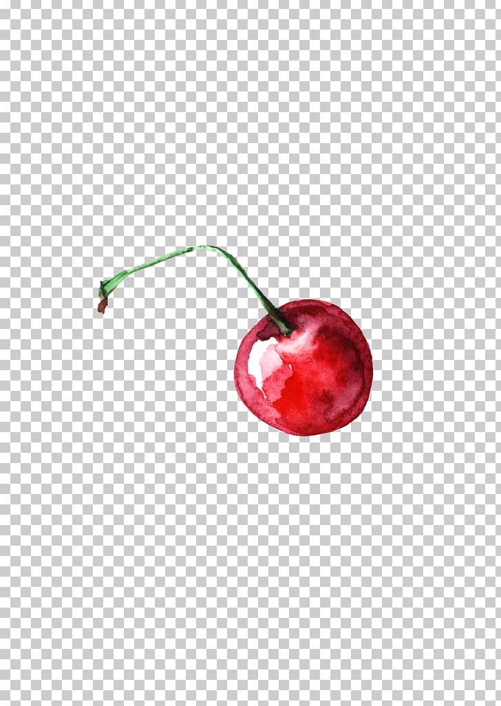 Cherry Watercolor Painting PNG, Clipart, Cherry Blossom, Color, Colours, Decoration, Diagram Free PNG Download