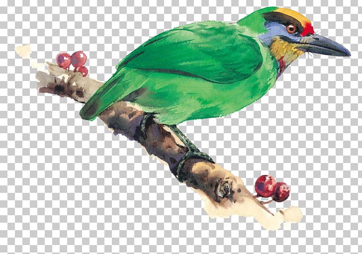 Bird-and-flower Painting Watercolor Painting Illustration PNG, Clipart, Animal, Art, Beak, Bird, Bird And Flower Painting Free PNG Download