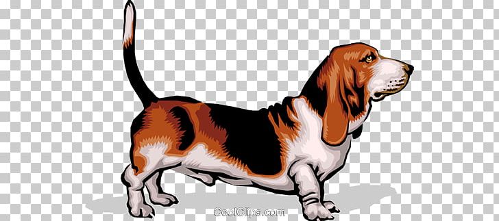 Dog Popliteal Lymph Nodes Lymphatic System PNG, Clipart, Anatomy, Animal, Animals, Basset Artesien Normand, Basset Hound Free PNG Download