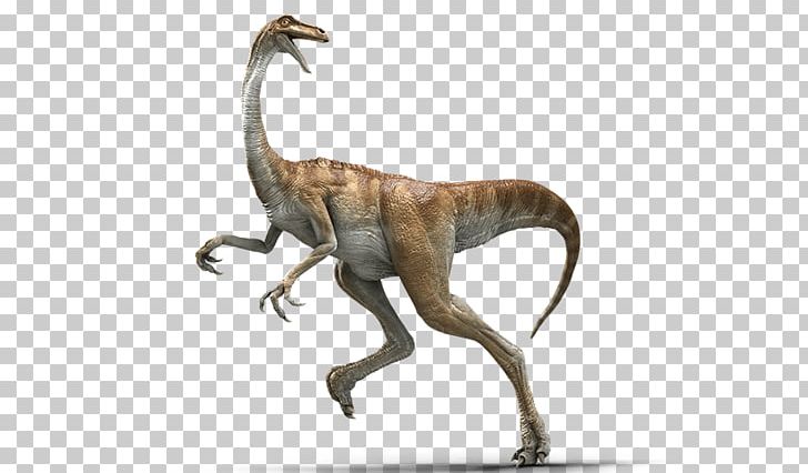 Gallimimus Velociraptor Baryonyx Parasaurolophus Jurassic Park PNG, Clipart, Animal Figure, Apatosaurus, Baryonyx, Cretaceous, Dinosaur Free PNG Download