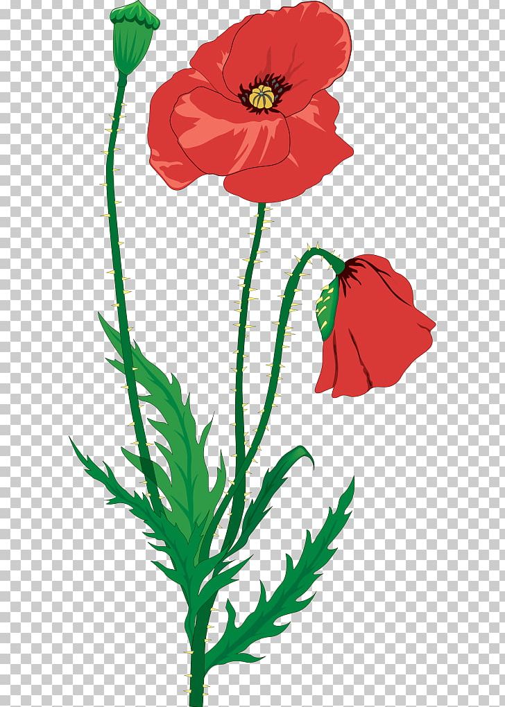 In Flanders Fields Common Poppy PNG, Clipart, Armistice Day, Art, Artwork, Common Poppy, Coquelicot Free PNG Download