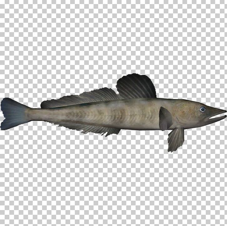 Mackerel Icefish Channichthyidae Animal Zoo Tycoon 2 PNG, Clipart, American Giant, Animal, Black Mongoose, Bony Fish, Catfish Free PNG Download
