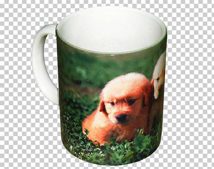 Coffee Cup Mug Snout Flowerpot PNG, Clipart, Ceramic Mug, Coffee Cup, Cup, Drinkware, Flowerpot Free PNG Download