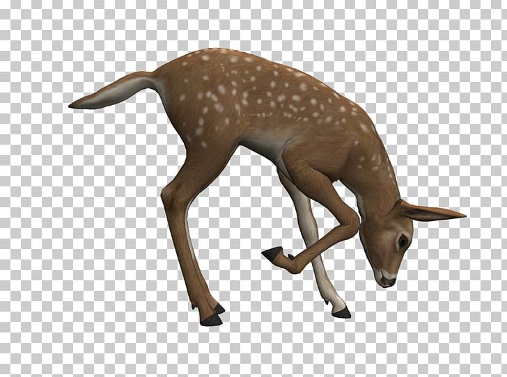 Easter Deer Drawing PNG, Clipart, 3d Computer Graphics, 3d Rendering, Animal, Animal Figure, Antler Free PNG Download