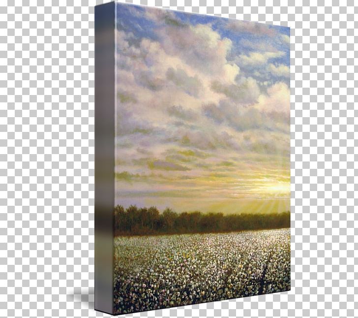 Mississippi Delta Painting Energy Frames PNG, Clipart, Cotton, Cotton Field, Delta Air Lines, Ecoregion, Energy Free PNG Download