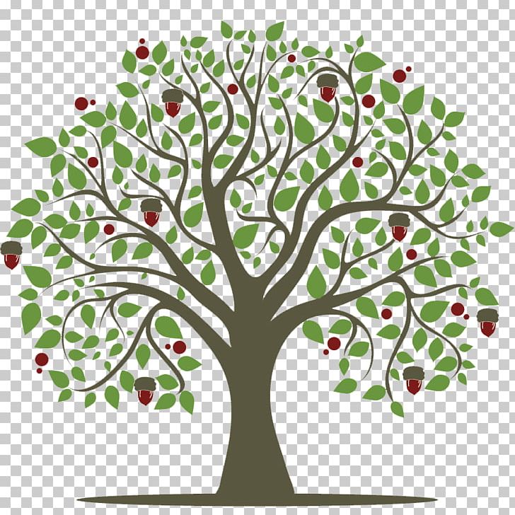 Twig Tree Sociology: The Basics Oak PNG, Clipart, Branch, Flora, Floral Design, Flower, Flowering Plant Free PNG Download