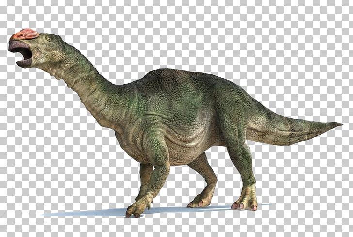Tyrannosaurus Muttaburrasaurus Late Cretaceous Leaellynasaura Parasaurolophus PNG, Clipart, Animal Figure, Cretaceous, Dinosaur, Early Cretaceous, Extinction Free PNG Download