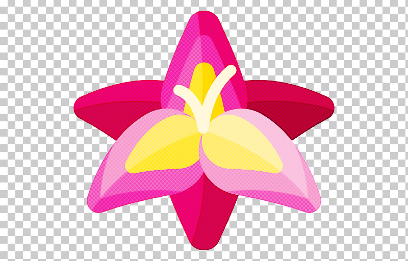 Petal Pink Magenta Flower Plant PNG, Clipart, Automotive Wheel System, Cattleya, Flower, Iris, Laelia Free PNG Download