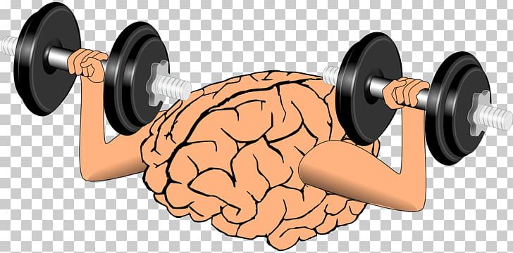 Cognitive Training Human Brain PNG, Clipart, Arm, Brain, Clip Art, Cognitive Training, Development Of The Nervous System Free PNG Download