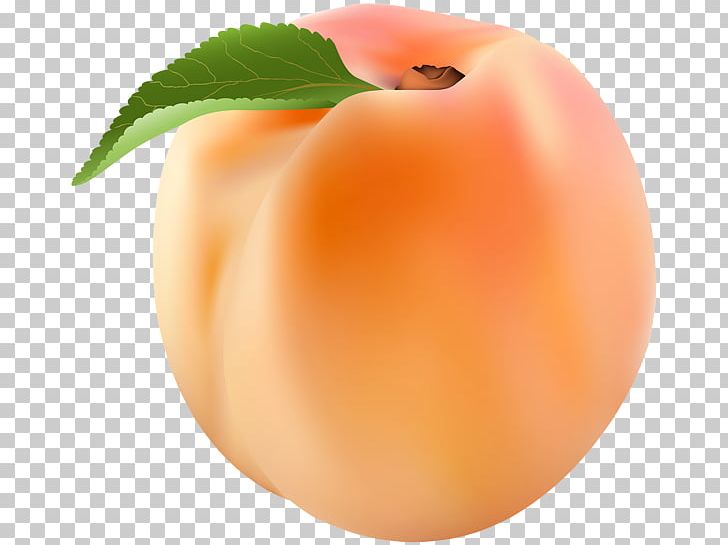 Nectarine Peach PNG, Clipart, Apple, Apricot, Brugnon, Computer Icons, Food Free PNG Download