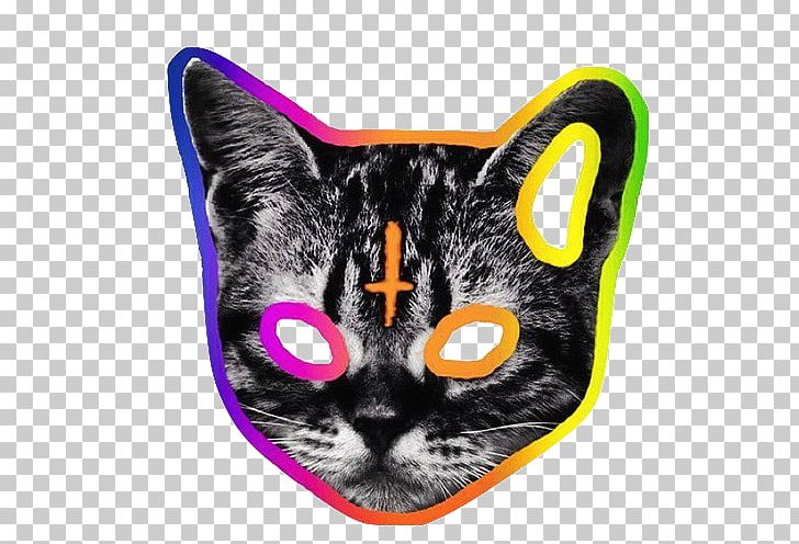 Odd Future T-shirt Camp Flog Gnaw Carnival Tron Cat PNG, Clipart, Art, Black Cat, Camp Flog Gnaw Carnival, Carnivoran, Cat Free PNG Download