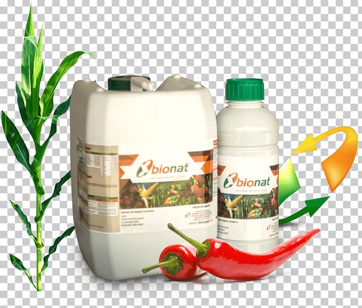 Organic Food Nutrient Fertilisers Organic Fertilizer PNG, Clipart, Agriculture, Cabbage, Chemistry, Crop, Fertilisers Free PNG Download